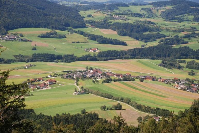 Baernsteinhof - Gasthof Mit Herz Hotel Aigen im Muehlkreis Bagian luar foto