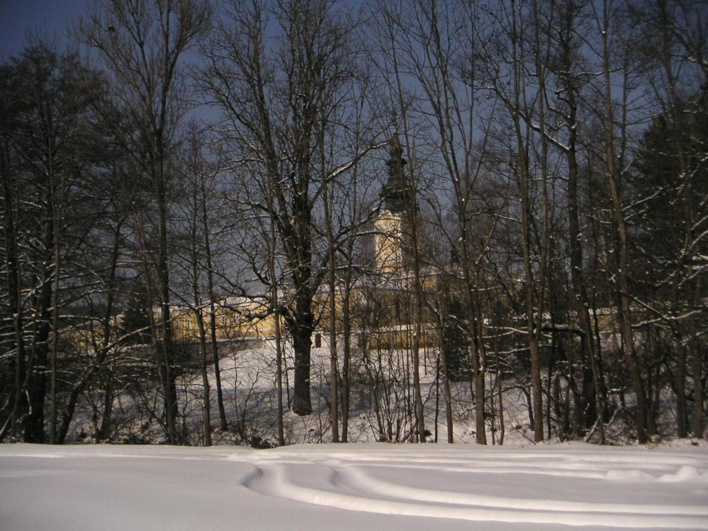 Baernsteinhof - Gasthof Mit Herz Hotel Aigen im Muehlkreis Ruang foto